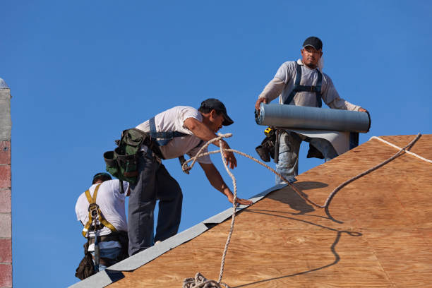 Best Metal Roofing Contractor  in Pocola, OK