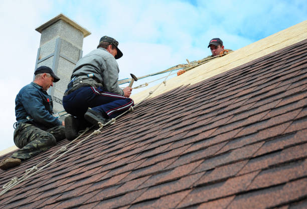 Best Roof Gutter Cleaning  in Pocola, OK